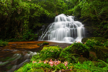 Beautiful Mun dang waterfall with a pink flower foreground in Rain Forest at Phitsanulok Province, Thailand