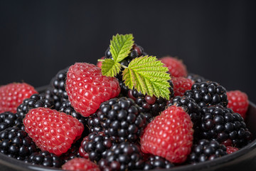 Background from fresh organic blackberries and raspberries,. Close up blackberry and raspberry