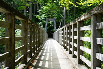 Fototapeta premium 吊り橋