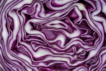 Fototapeta premium Background of the blue cabbage in the cut. Close up, top view. Texture raw purple cabbage