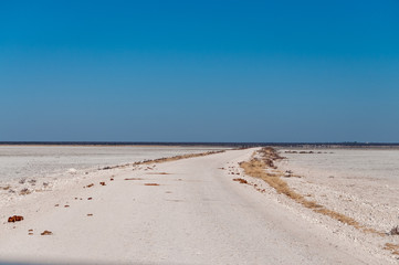 An overview of the empty space of the Etosha salt pan, Ethosha National Park, Namibia.