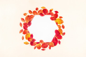 Bright, red leaves on  a pastel background