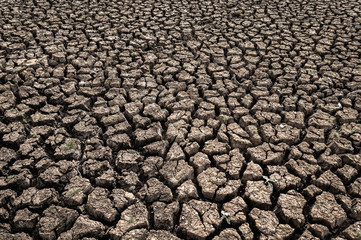 Arid land with dry and cracked ground,global warming