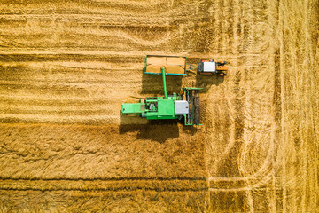 Fototapeta na wymiar Harvester dropping collected grain onto a tractor trailer, aerial view