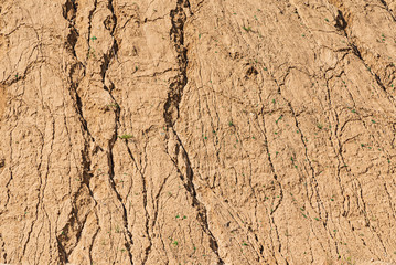 Detail Of Dry Ground On The Desert - Texture / Pattern