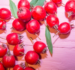 red hawthorn berries with green leaves pink wooden texture background top view tree texture