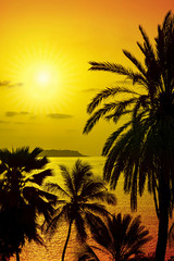 Silhouettes of coconut palm trees facing the Island of Gorée, view from Dakar, Senegal