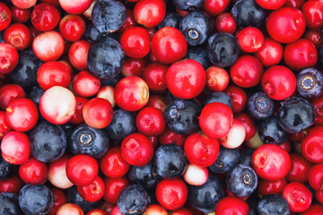 Wild berries mix closeup background.