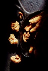 pork cuttings in a studio