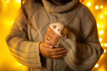 Girl with pet rat, garland lights and gray wall