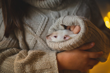 Cozy girl child caresses pet rat, emotional