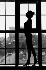 Black and white portrait of sexy beautiful young lady over light window background