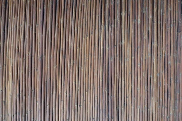 テクスチャ―　茅（萱）　texture of thatch