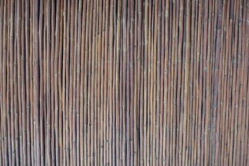 テクスチャ―　茅（萱）　texture of thatch