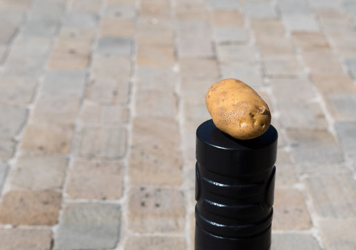 Pomme de terre