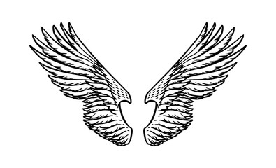 Fototapeta premium Angel wing in vintage style. Template for tattoo and emblems, t-shirts and logo. Emblem for stickers. Engraved sketch. Vector illustration.