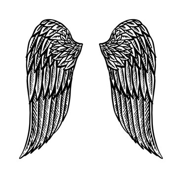 154,738 BEST Angel Wings IMAGES, STOCK PHOTOS & VECTORS | Adobe Stock