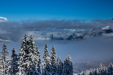 Beautiful view Mountains and Fir Trees in wintertime. 