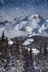 Fototapeta na wymiar Beautiful view of Mountains and Fir Trees in wintertime. 