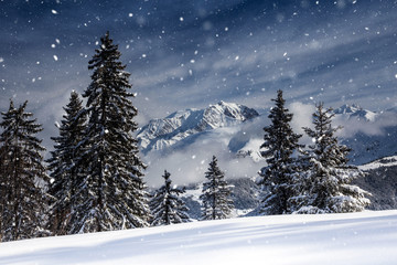 Fototapeta na wymiar Beautiful view of Mountains and Fir Trees in wintertime. 