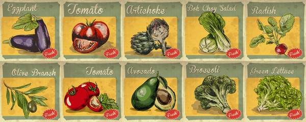 Set of hand drawn vegetables illustration for retro poster.  Radish, eggplant, tomato, broccoli, avocado
