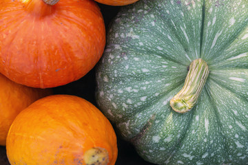 A flat lay photo of colorful pumpkins collected at harvest