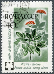 USSR - 1960: shows Ginseng, Asiatic Flowers, 1960