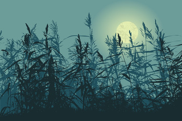 Silhouette of the cane and full moon. vector illustration