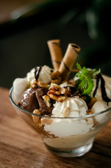 chocolate and mint vanilla ice cream sundae dessert in bowl