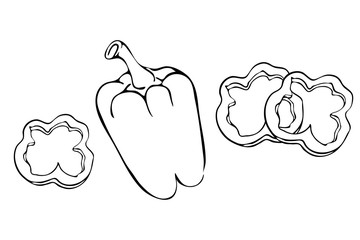 bell pepper or paprika with slices outline illustration isolated on white background. Hand drawn pepper paprika icon. vintage hand sketch ink pepper. paprika with slices for coloring or logo concept.