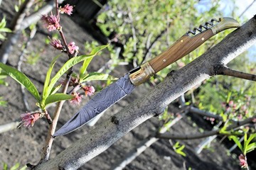 Folding edc knife damascus blade pink color flowers garden trees sunny day