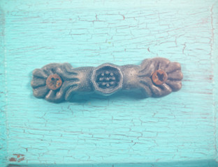 old tree blank background image