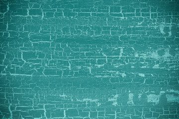 old tree blank background image