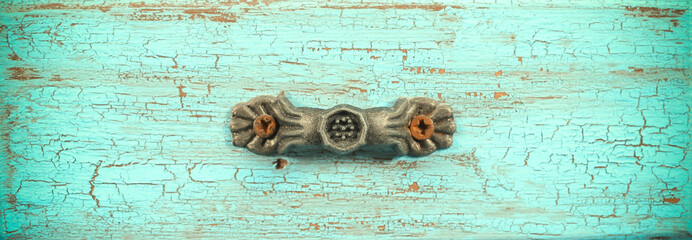 old tree blank background image