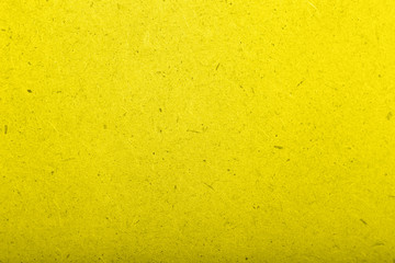 old tree blank background image