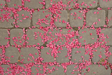 Stone pavers studded with rose petals. Geometric. Glorification and celebration in honor of the hero. Natural background for decoration and design. Traditions of praising ancient peoples