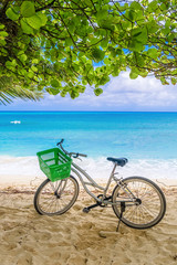 Fototapeta premium Lonely vintage bicycle on the tropical sandy beach by a palm tree with sky and calm sea at background, vertical composition
