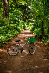 Fototapeta premium Lonely old bicycle with green becket on Ground rural road in the middle of tropical jungle