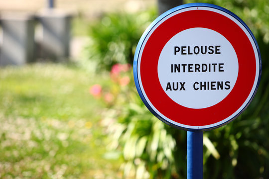 Panneau pelouse interdite aux chiens