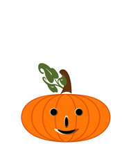 pumpkin on white background.  Clipart