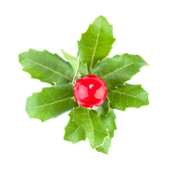 Red Christmas holly berry with green leaves isolated on white background, top view flat lay