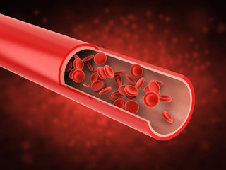 red blood cells in vein