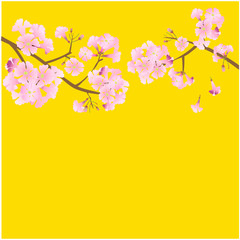 vector pink flower on yellow background