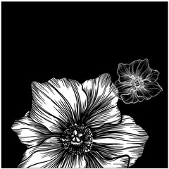 vector flower on black