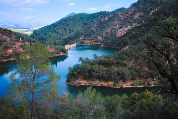 Swamp near Benitandus village, Castellon