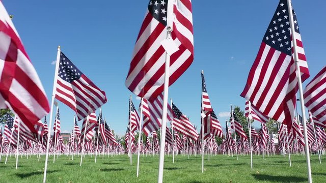 Low angle view of American Flags blowing in the wind as they are displayed throughout memorial park.