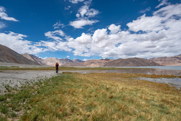 Obraz premium Landscape view of tourist man enjoy with beautiful of Pangong lake in Leh Ladakh, India