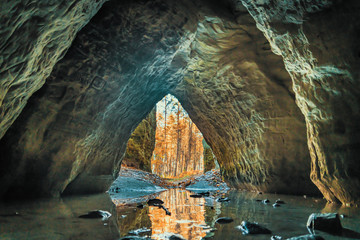 View from the cave on the autumn forest