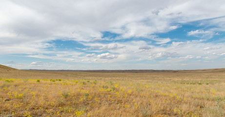 steppe