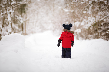 Fototapeta na wymiar A little boy in a red down jacket walks through a snowy forest. Walk in the fresh air on a winter day. Lifestyle concept